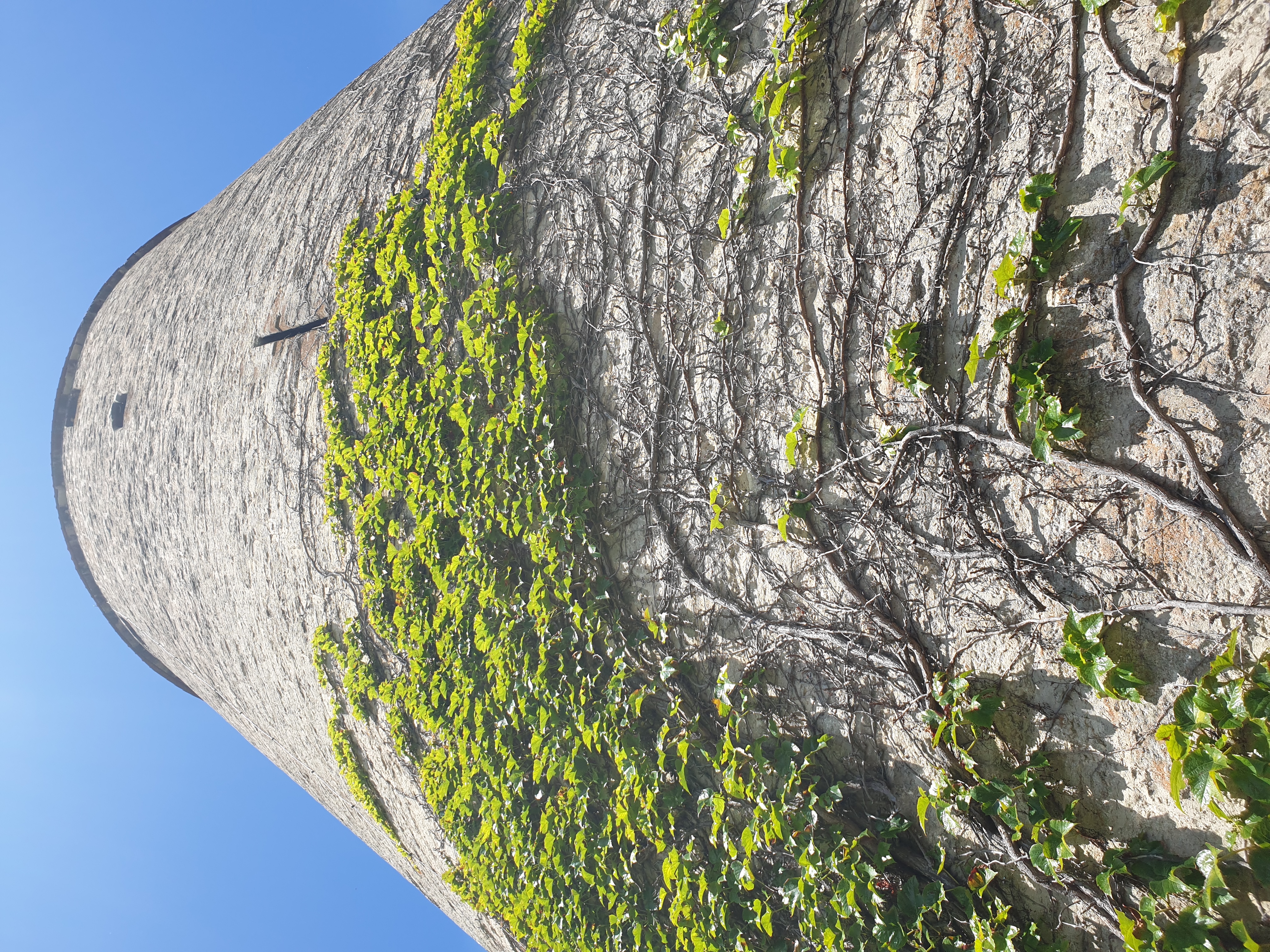 Tour présente à Estavayer-le-Lac, canton de Fribourg, en Suisse